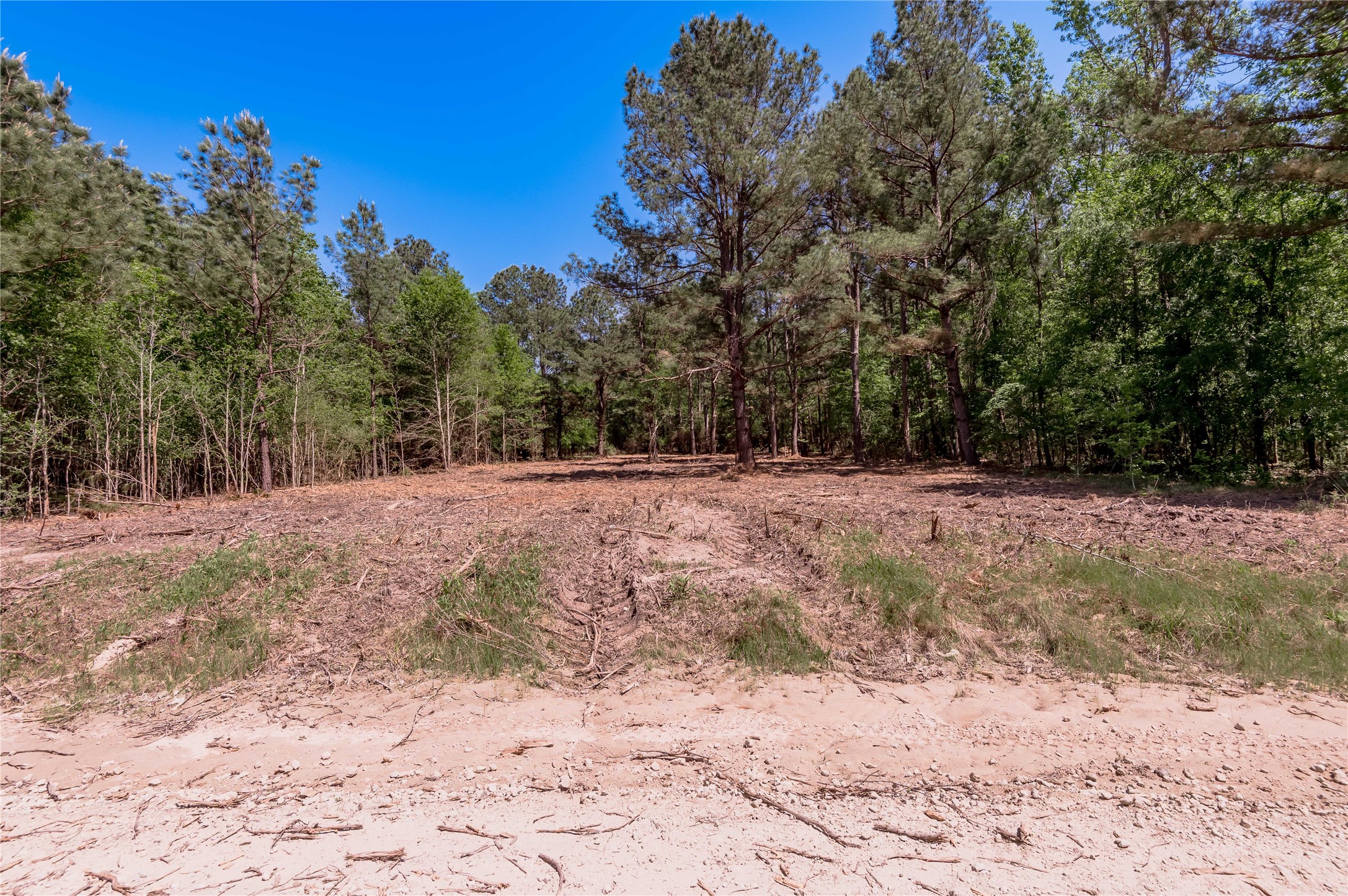 6077 Tract 4 Cr 4200 Property Photo 1