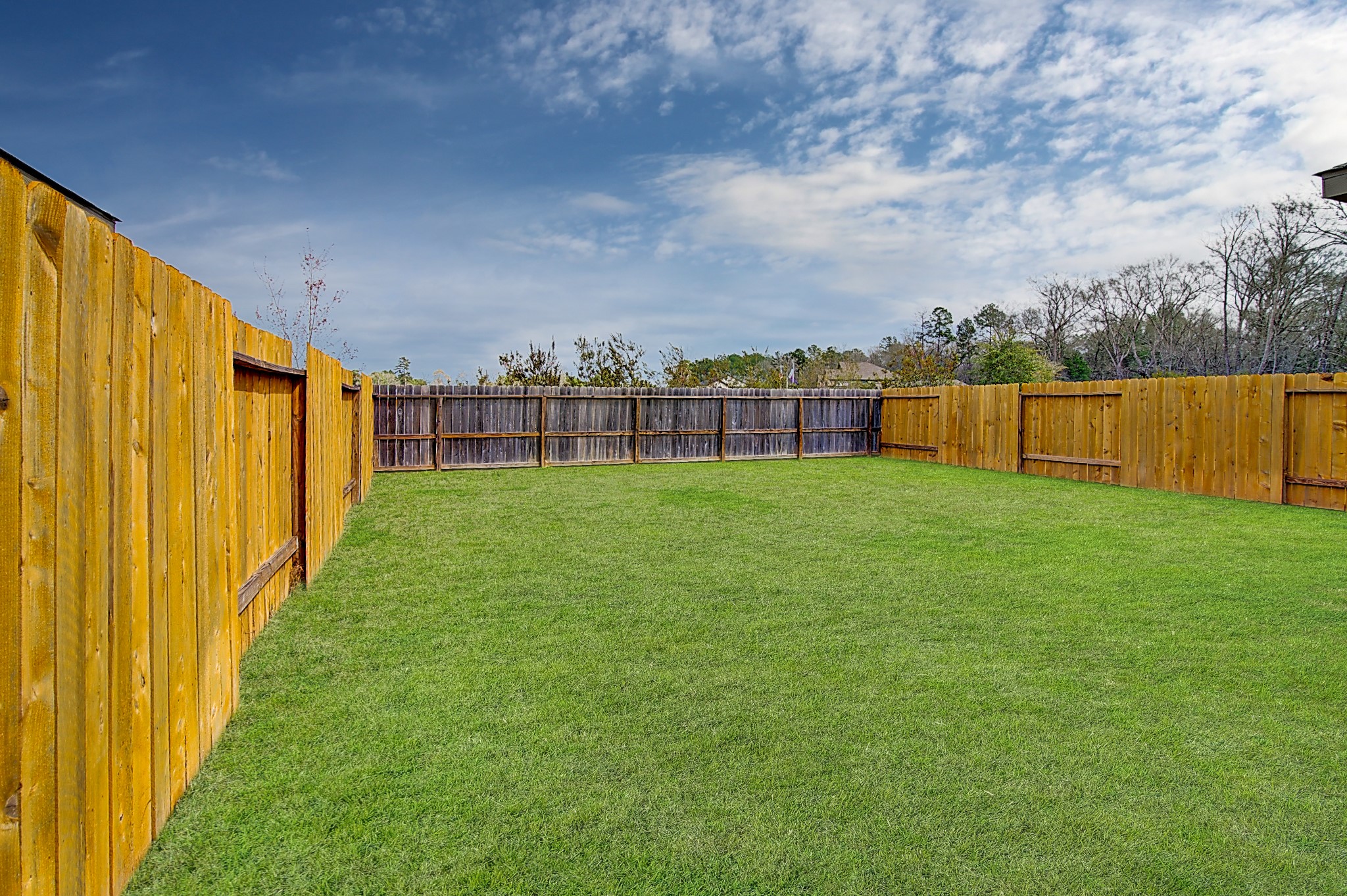 9232 Laiden Creek Trail Property Photo 19