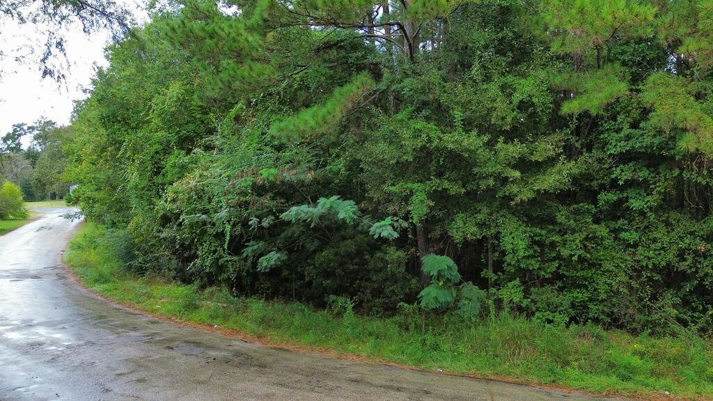 .66 Cr 451 Property Photo 2