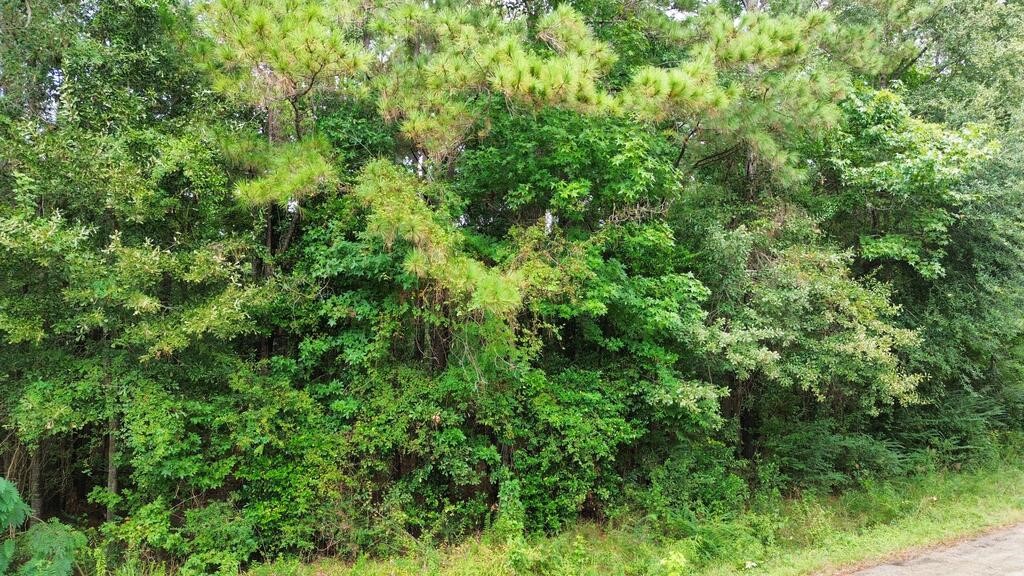 .66 Cr 451 Property Photo 3
