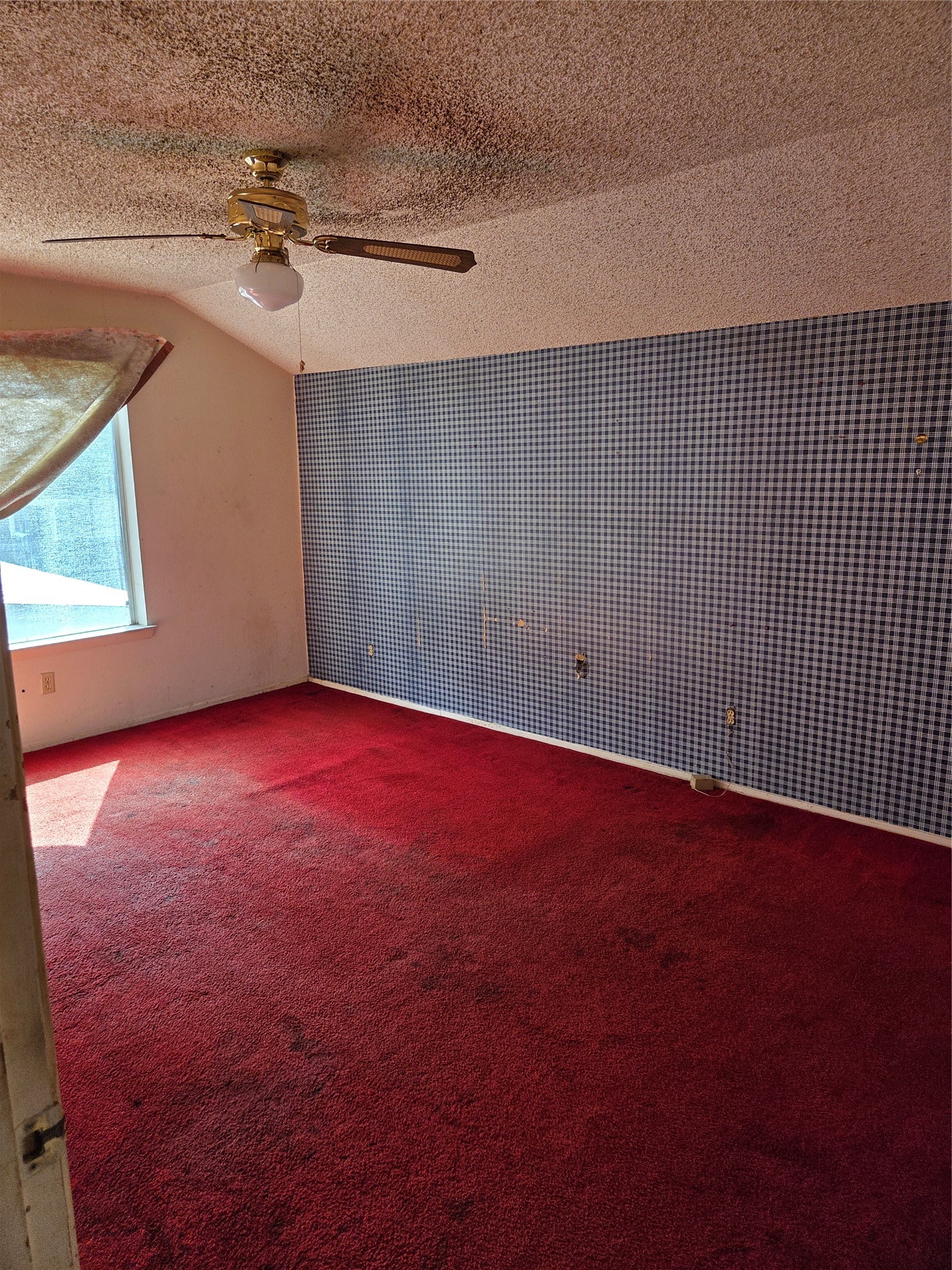 7707 Candlegreen Lane Property Photo 15