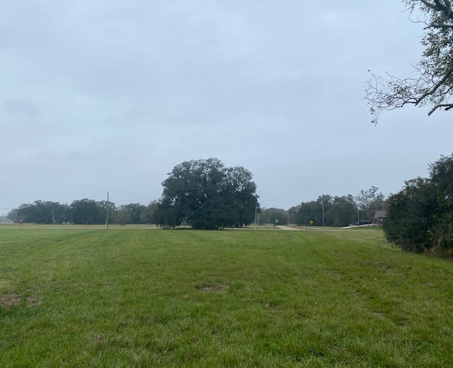 218 Cattle Drive Trail Property Photo 1