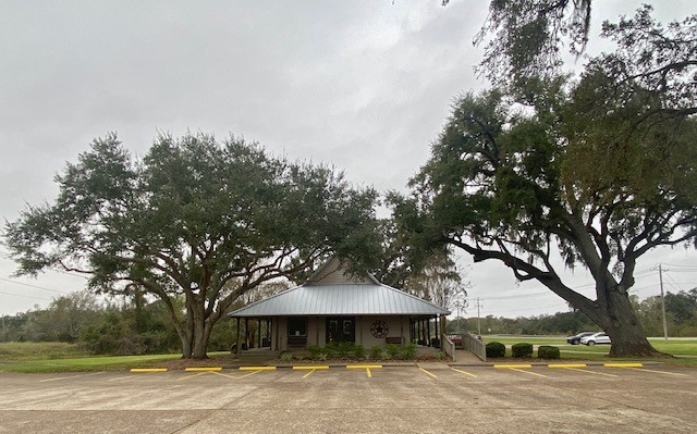 218 Cattle Drive Trail Property Photo 4