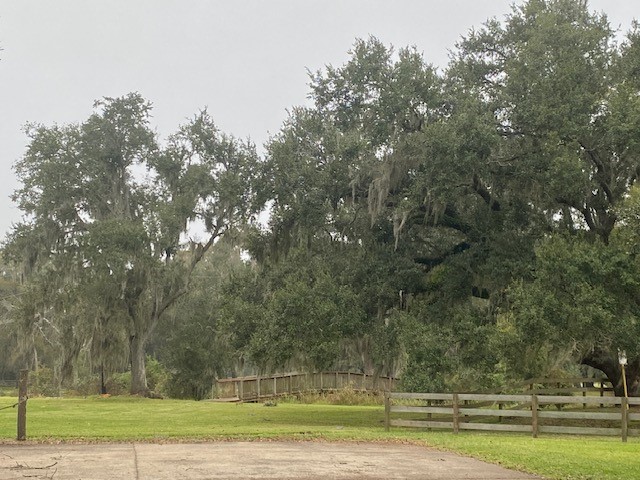218 Cattle Drive Trail Property Photo 34