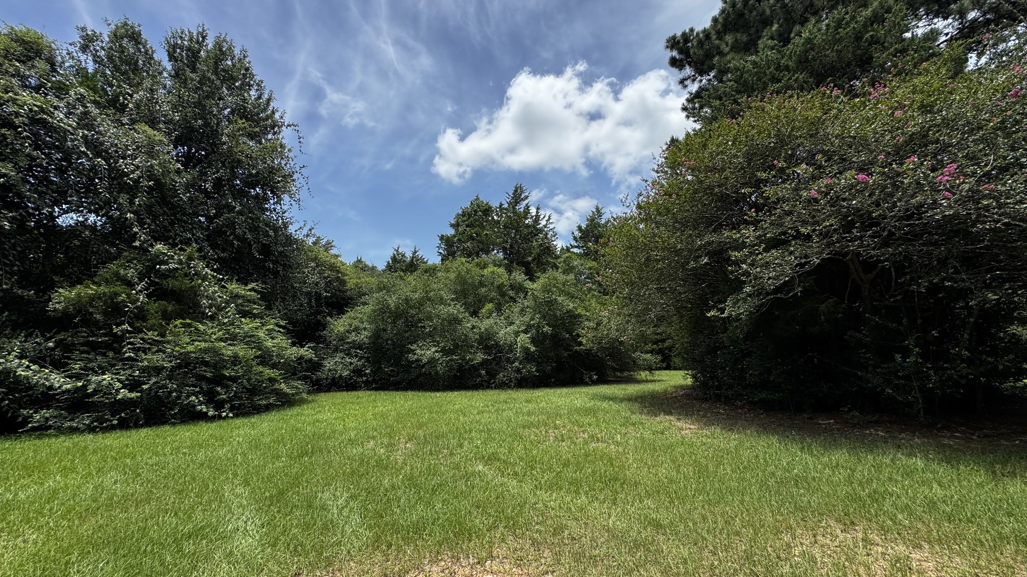 30827 Burton Cemetery Road Property Photo 13