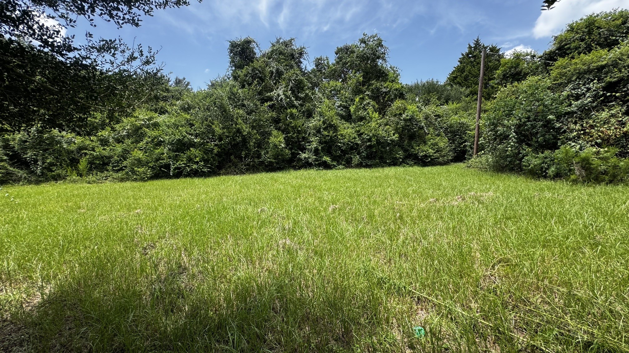 30827 Burton Cemetery Road Property Photo 15