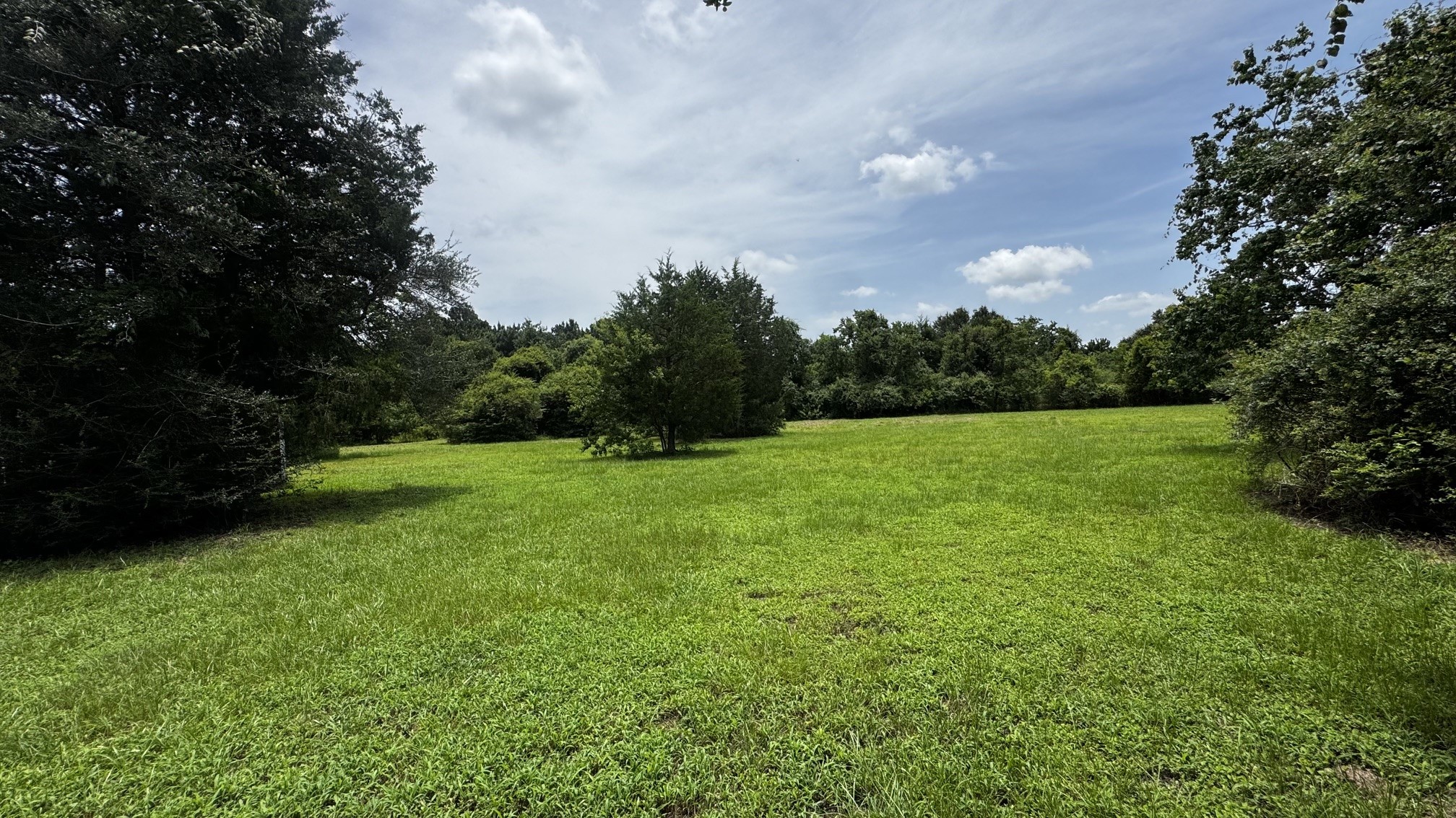 30827 Burton Cemetery Road Property Photo 16