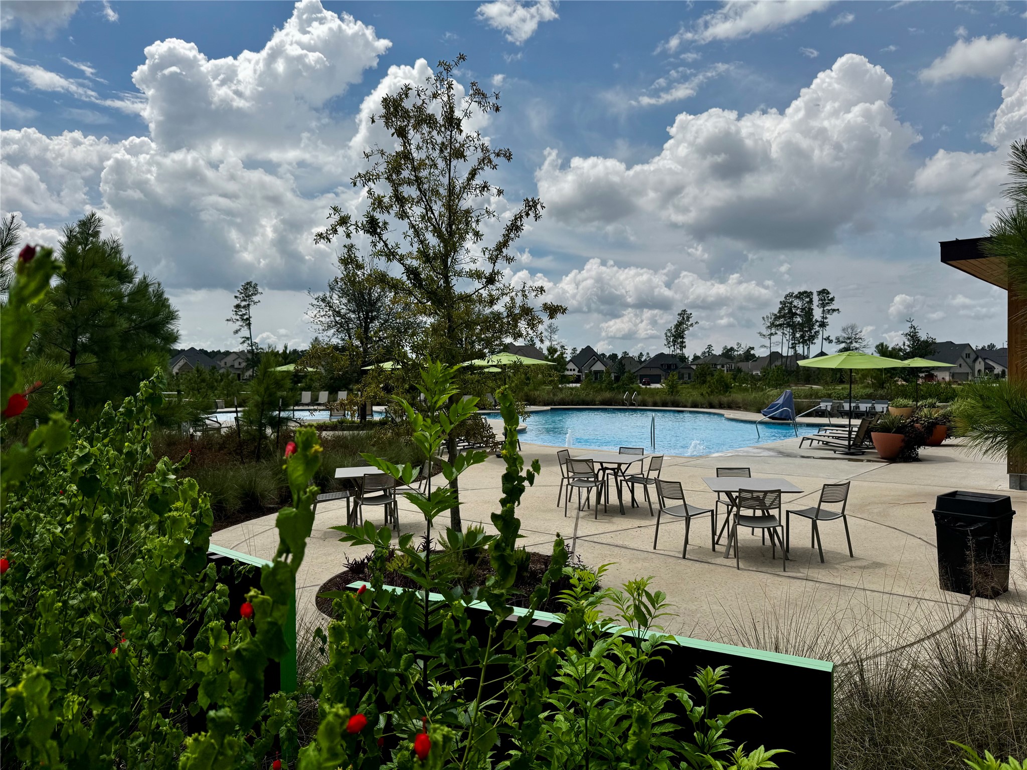 15991 Mahogany Mist Drive Property Photo 44