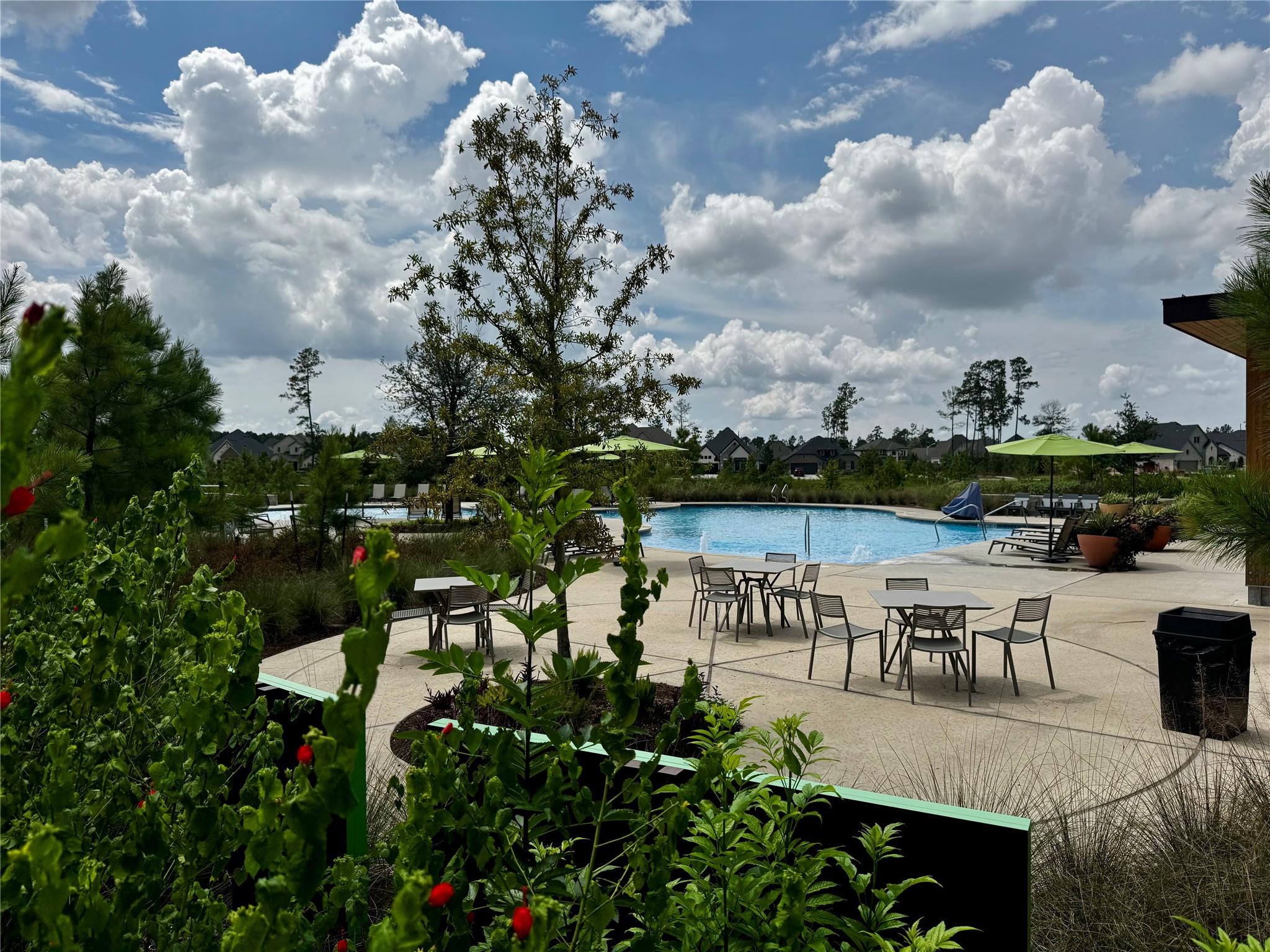 15991 Mahogany Mist Drive Property Photo 44