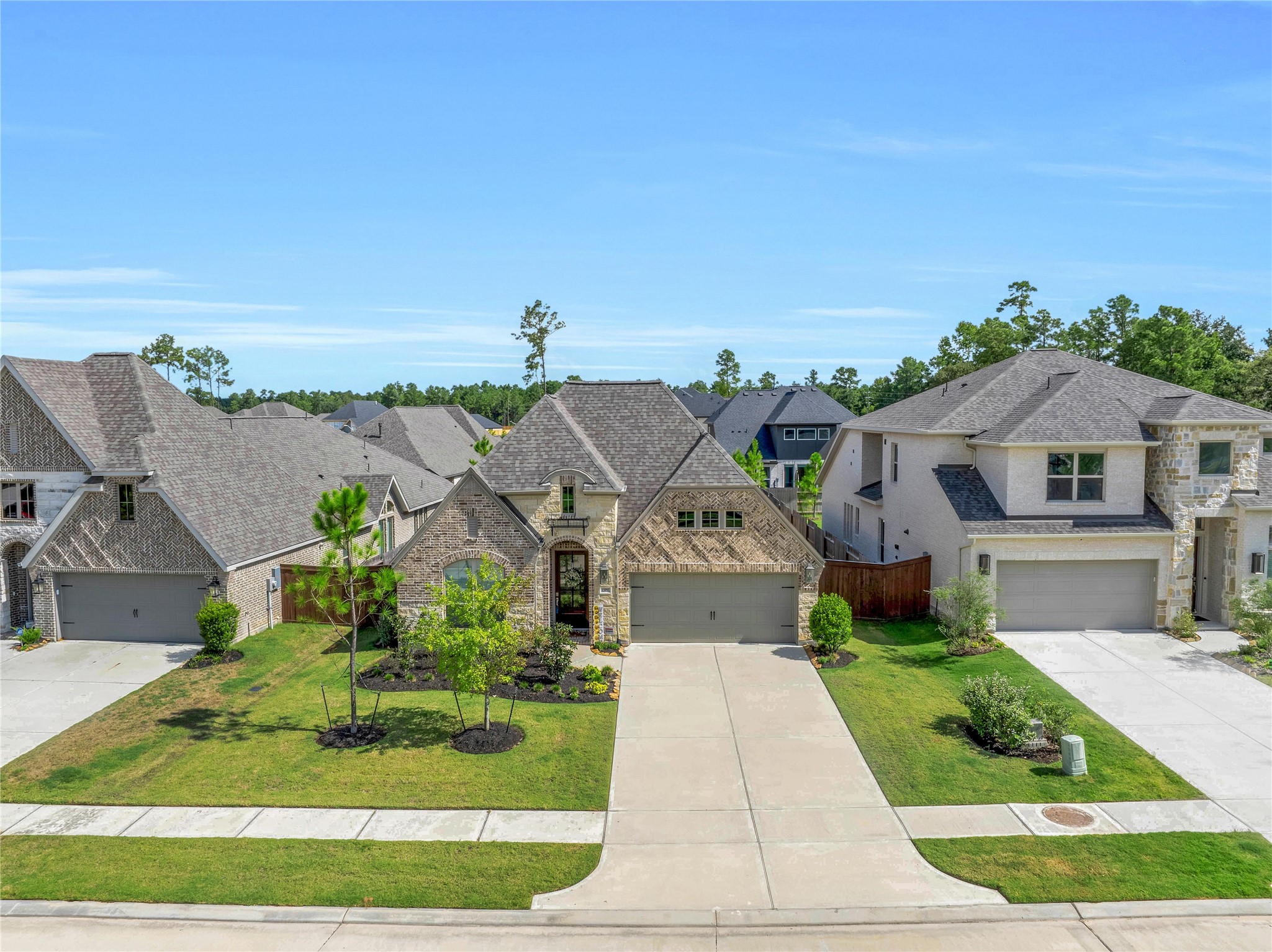 15991 Mahogany Mist Drive Property Photo 46