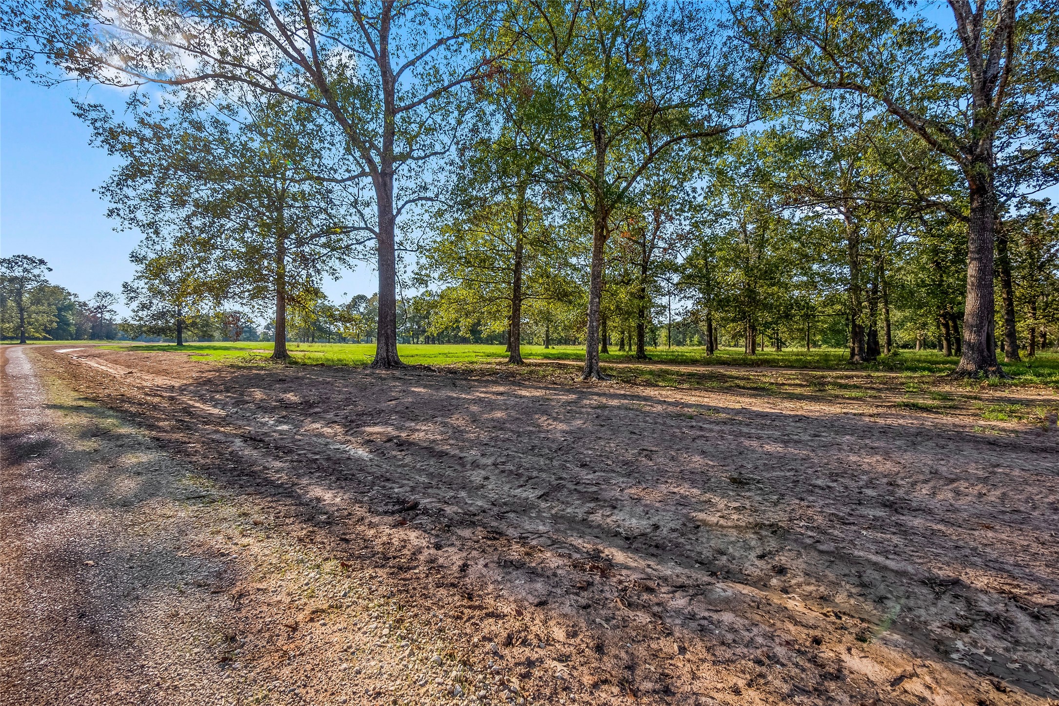 6087 Alans Memorial Lane Property Photo 1