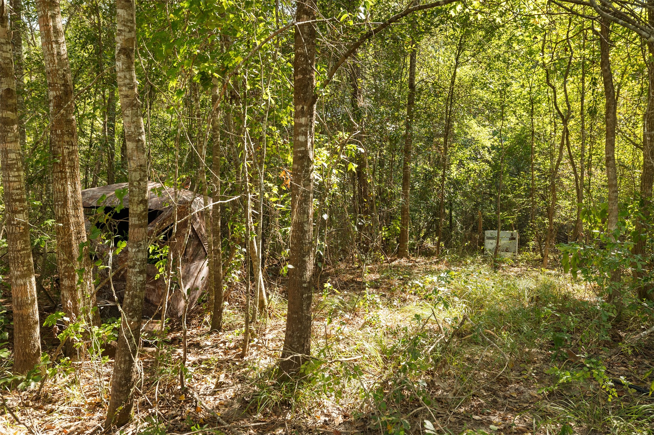 250 Gulf Oil Road Property Photo 41