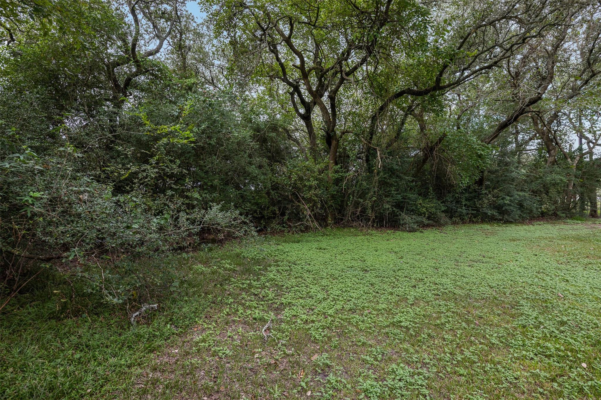 1081 Shirley Oaks Street, Columbus Tx 78934 Property Photo 31