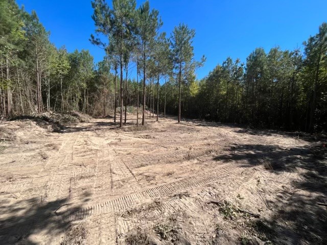 Tract 5-c Fm 161 N Property Photo 1