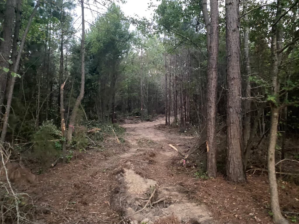 Tract 5-c Fm 161 N Property Photo 4