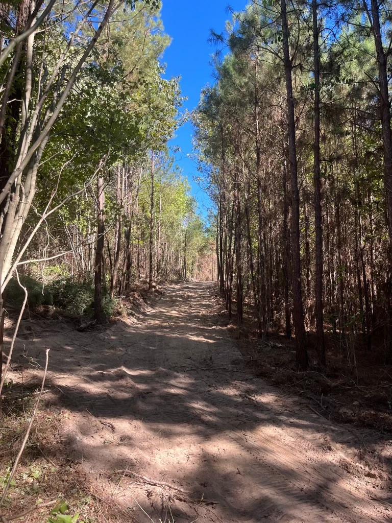 Tract 5-c Fm 161 N Property Photo 5