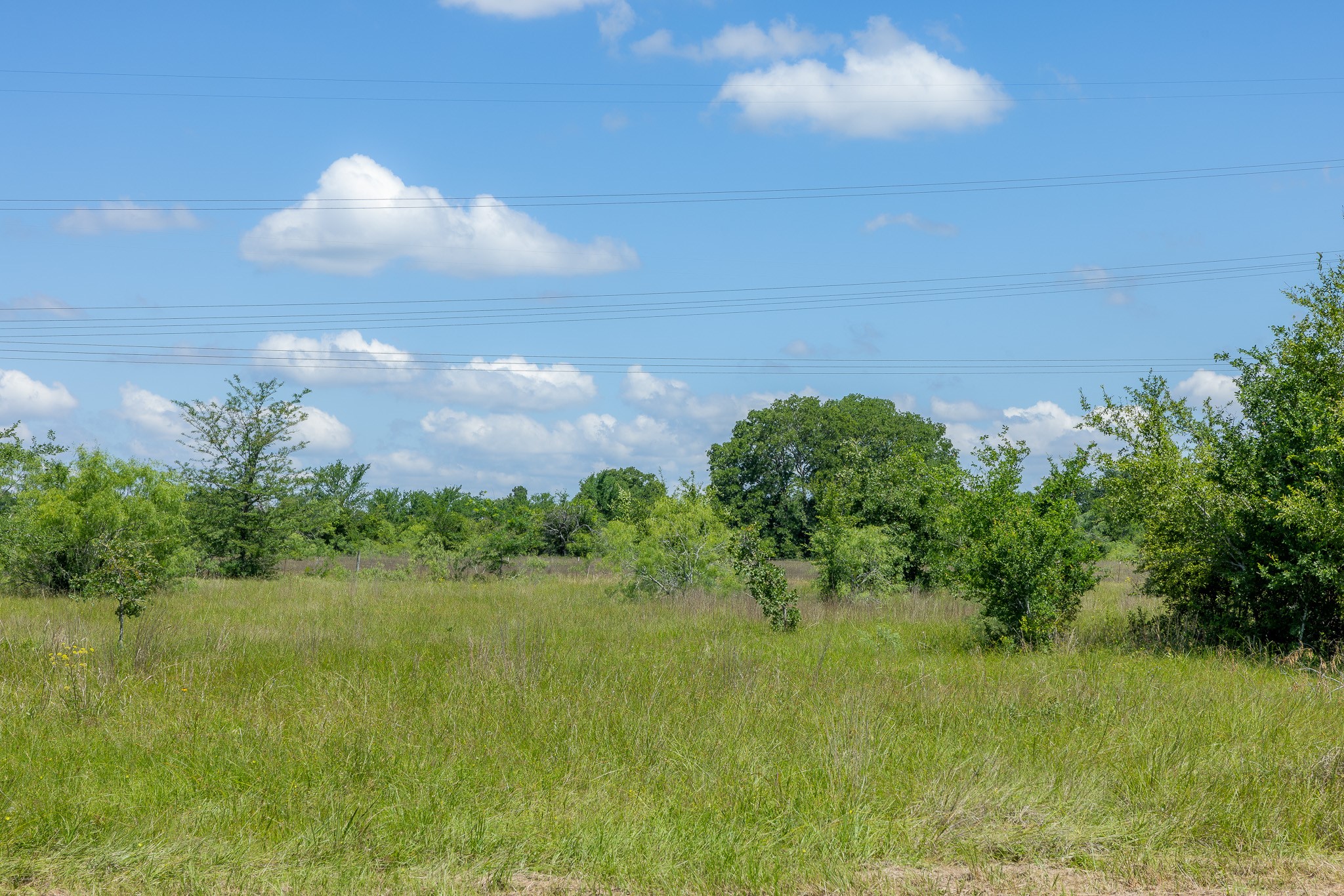 6507 Atakapan Trail Property Photo 1