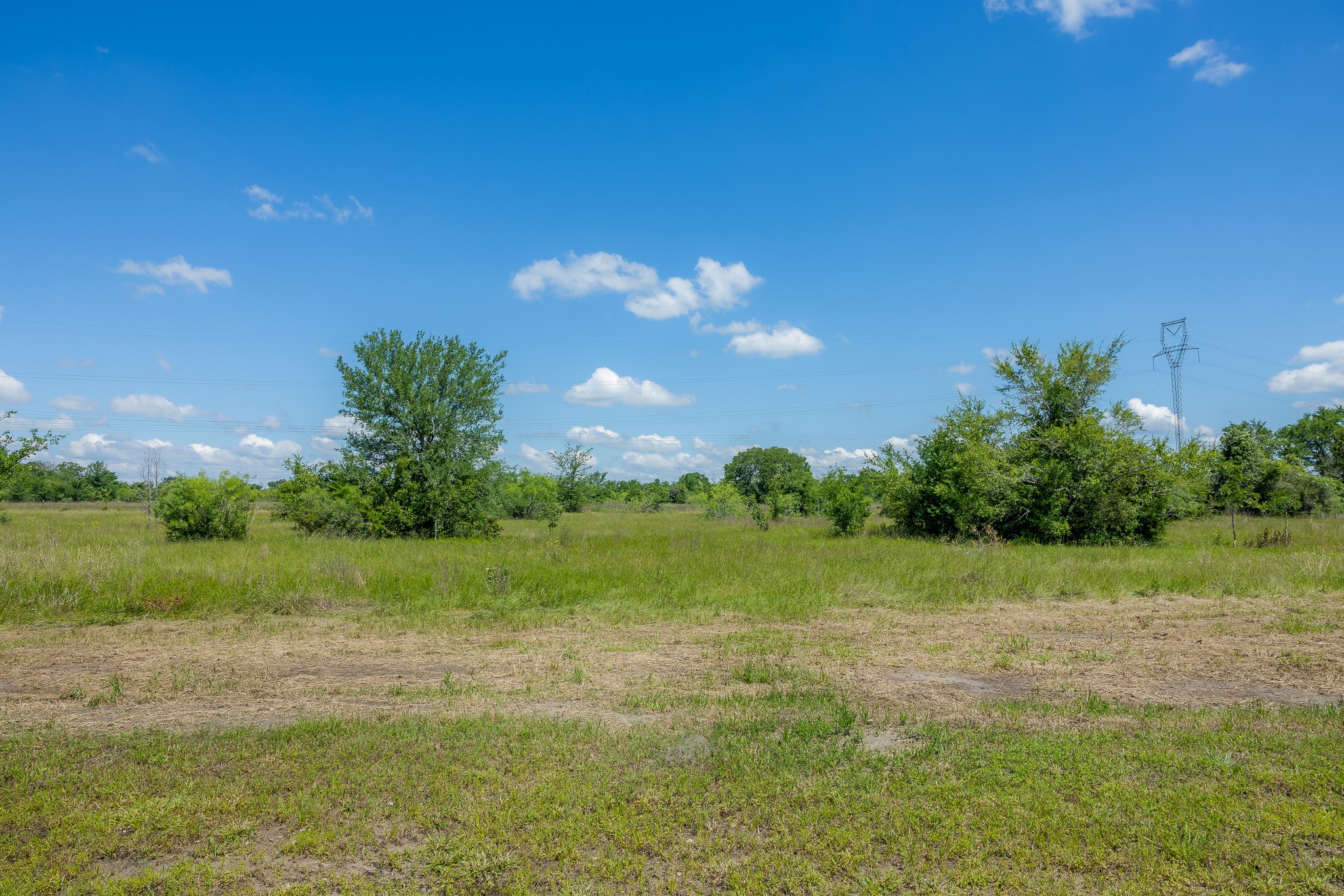 6507 Atakapan Trail Property Photo 3