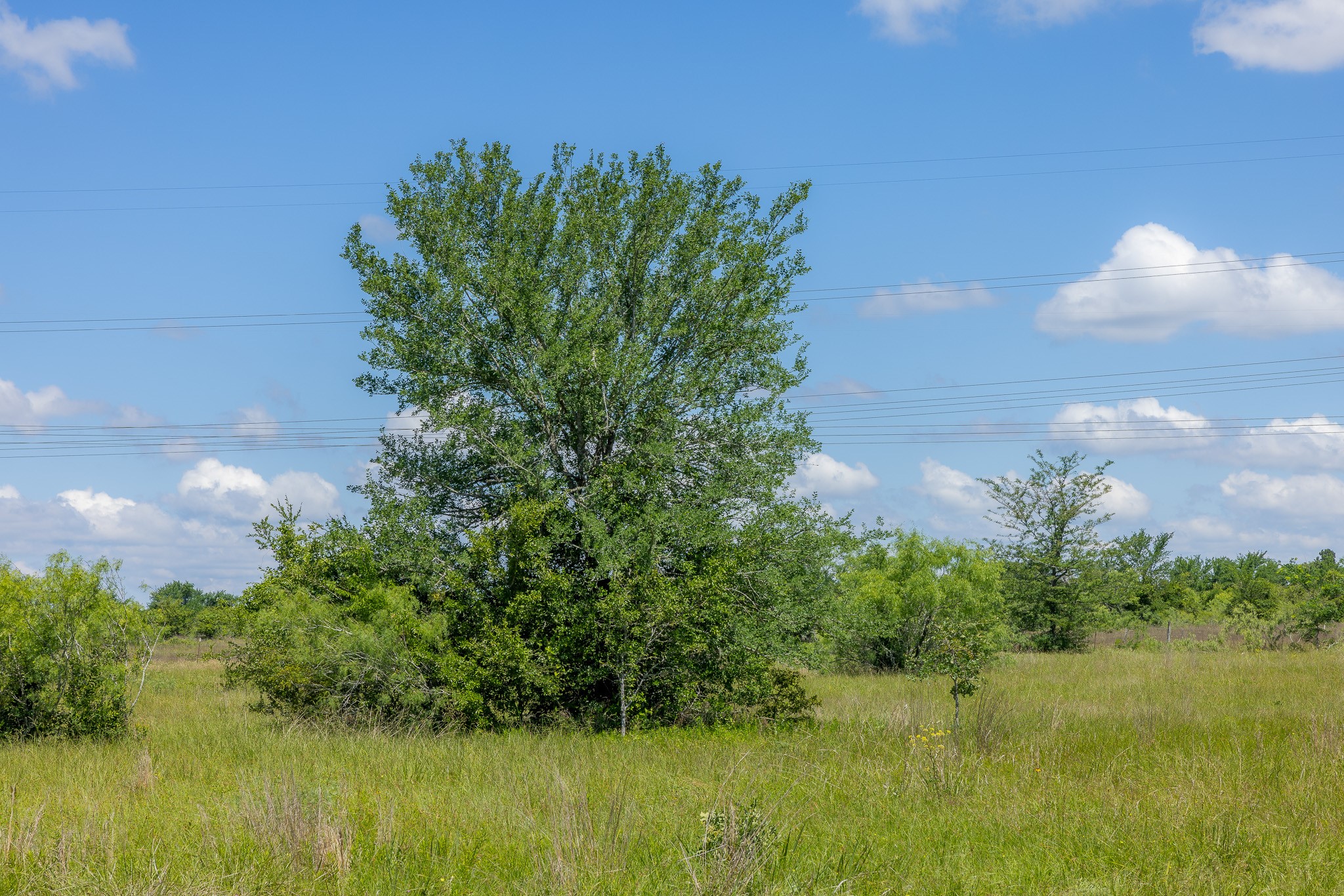 6507 Atakapan Trail Property Photo 4