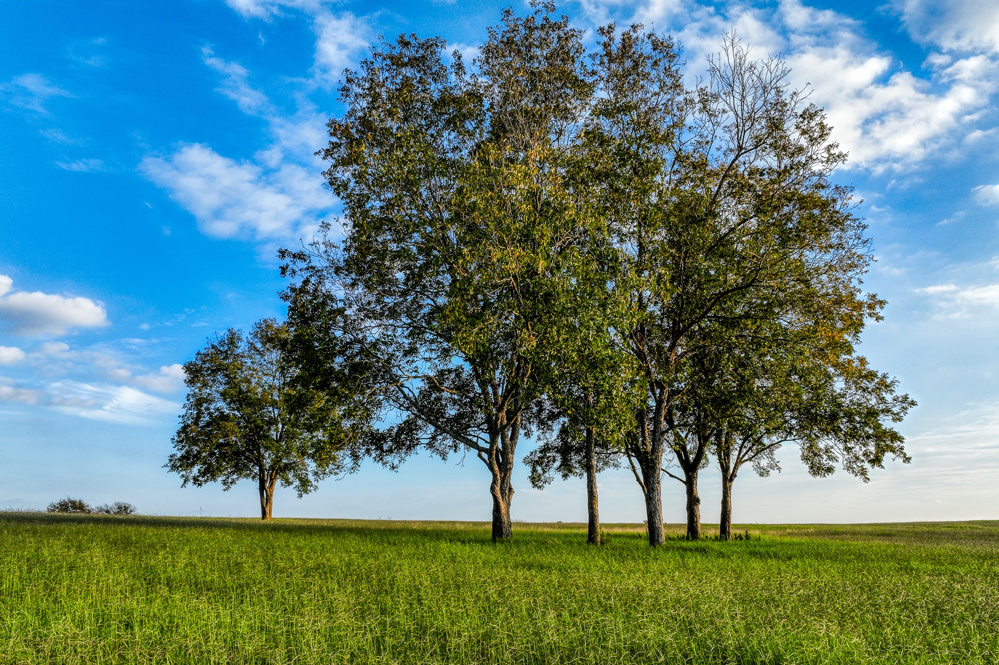 Tbd Sunny Meadow Lot 19 Drive Property Photo 15