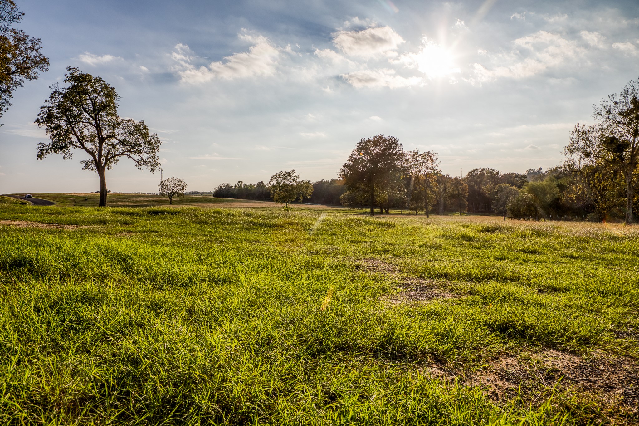 Tbd Sunny Meadow Lot 19 Drive Property Photo 27