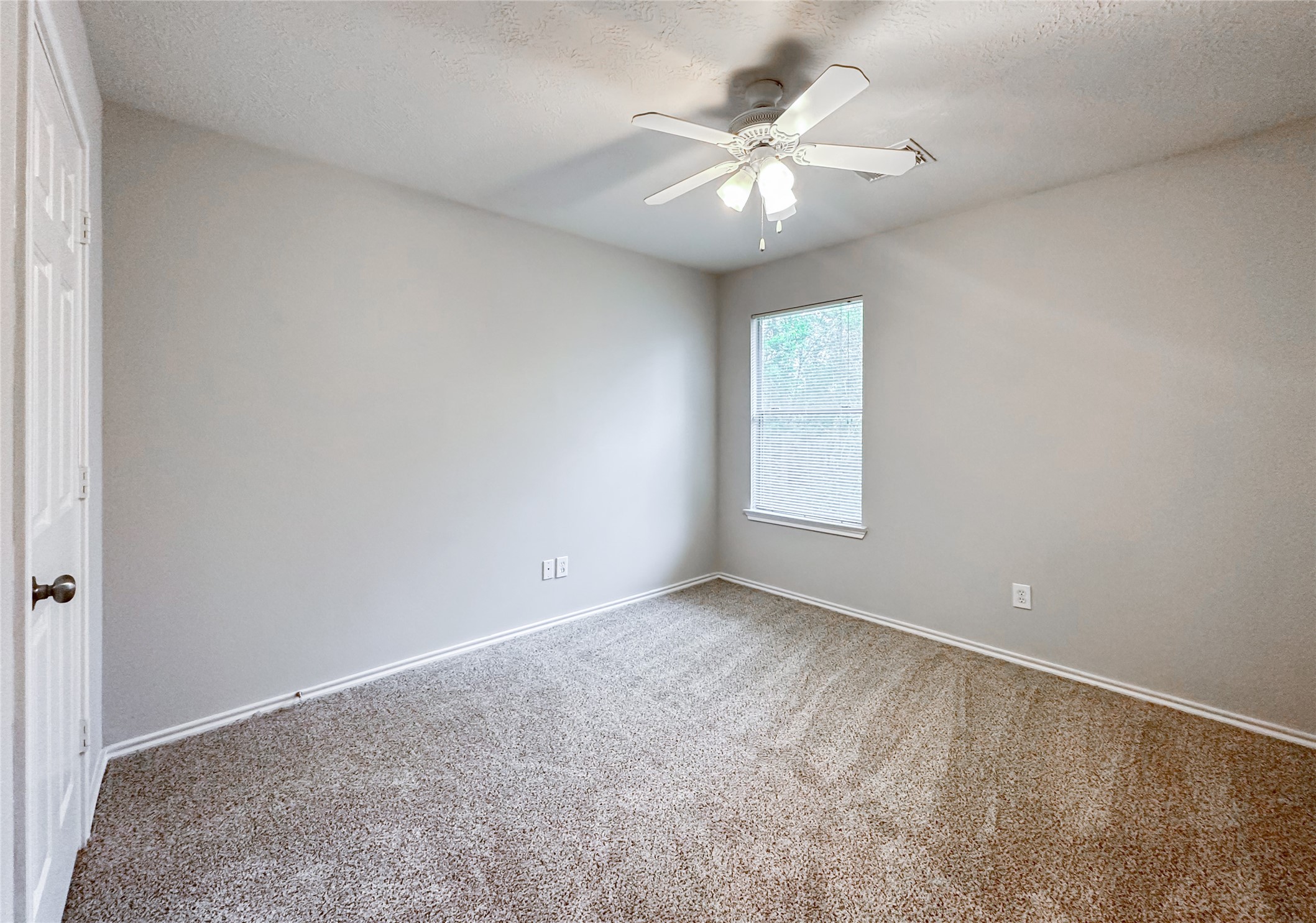 131 Anise Tree Place Property Photo 28