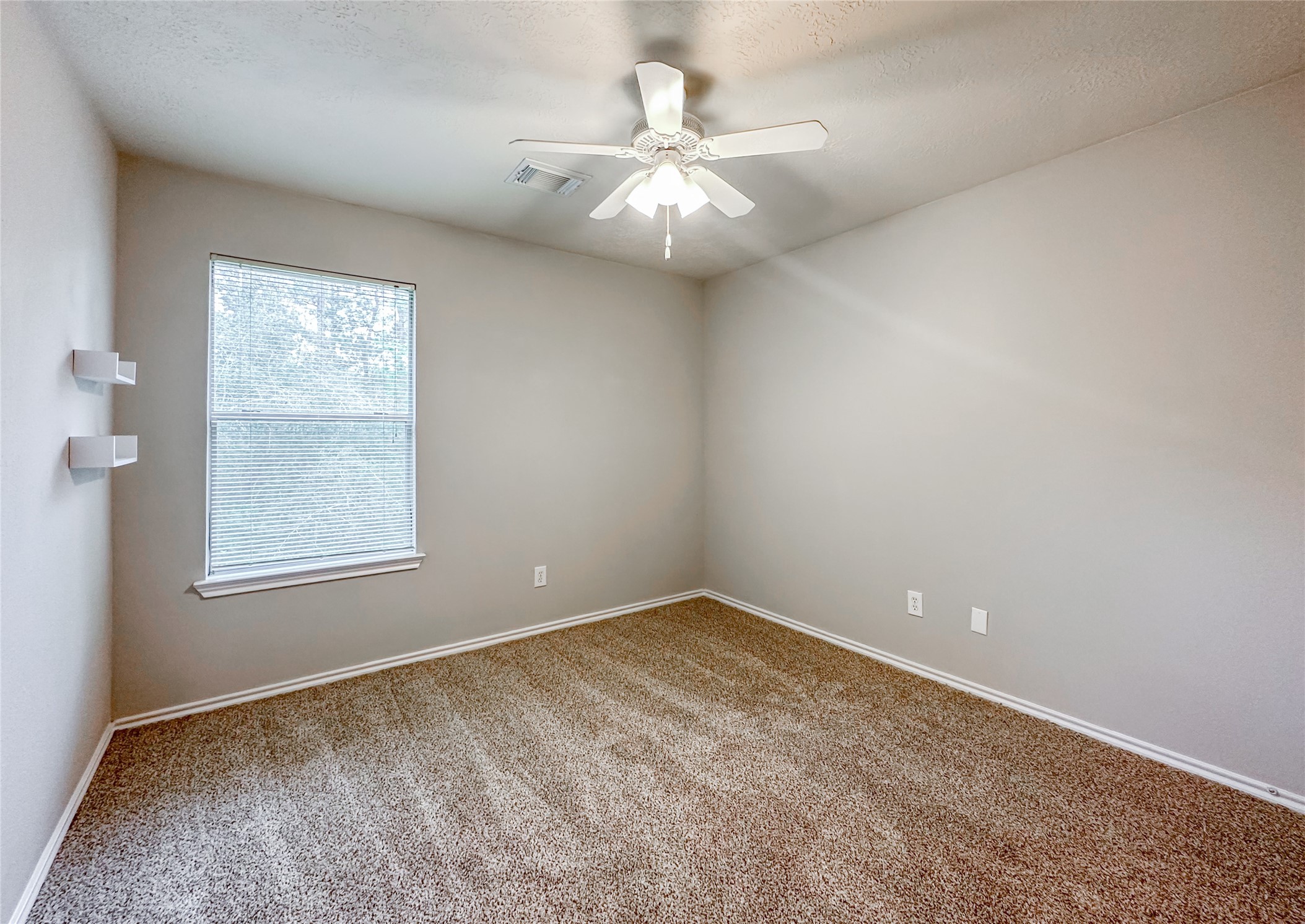 131 Anise Tree Place Property Photo 30