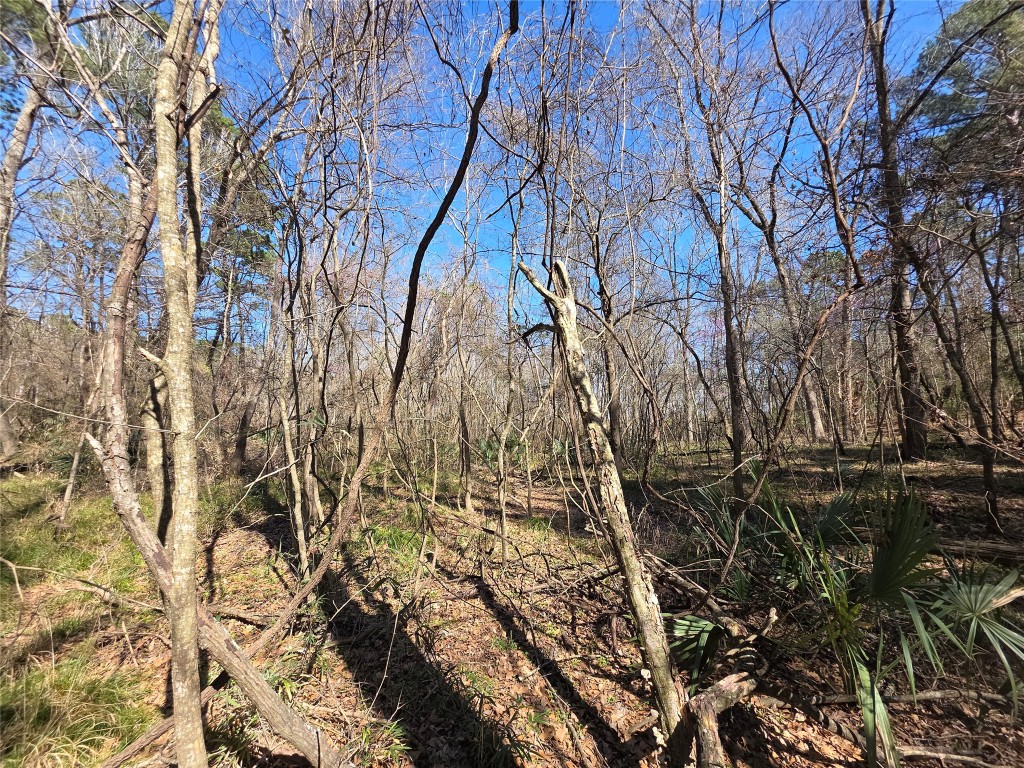 Tbd Fm 156 Property Photo 3