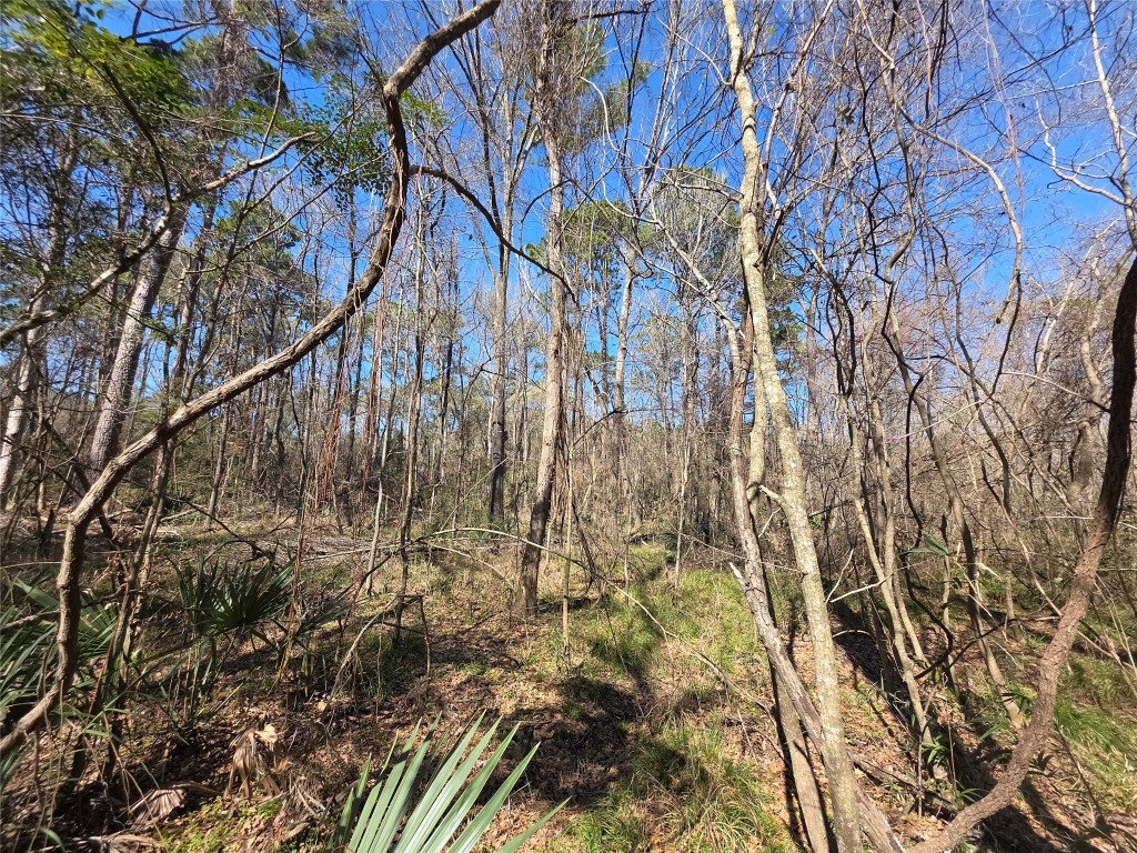 Tbd Fm 156 Property Photo 4