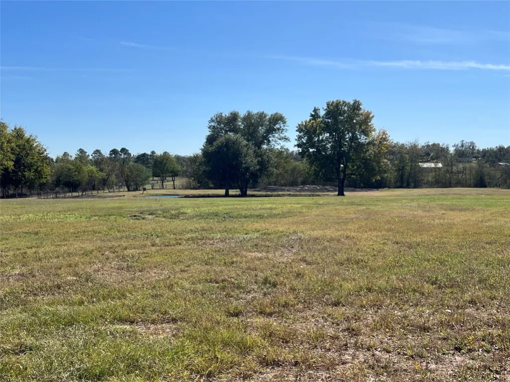10250 Jenny Lynn Lane Property Photo 7