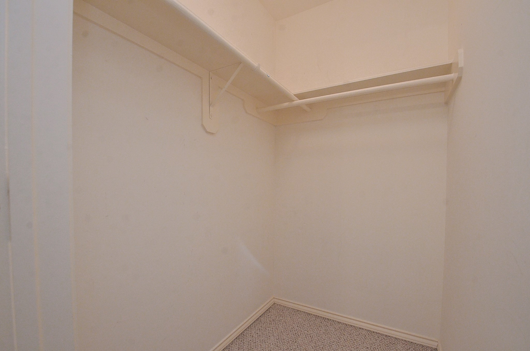 4226 Windy Chase Lane Property Photo 29