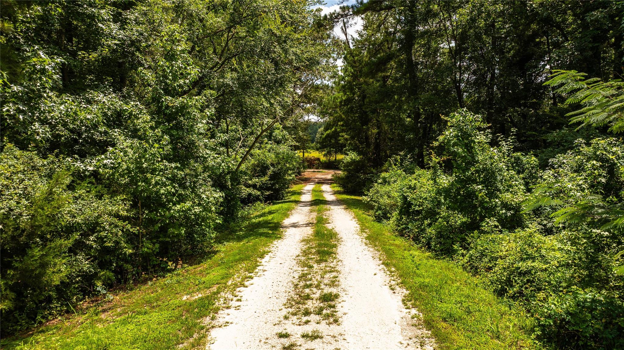 783 An County Road 165, Elkhart Tx 75839 Property Photo 48