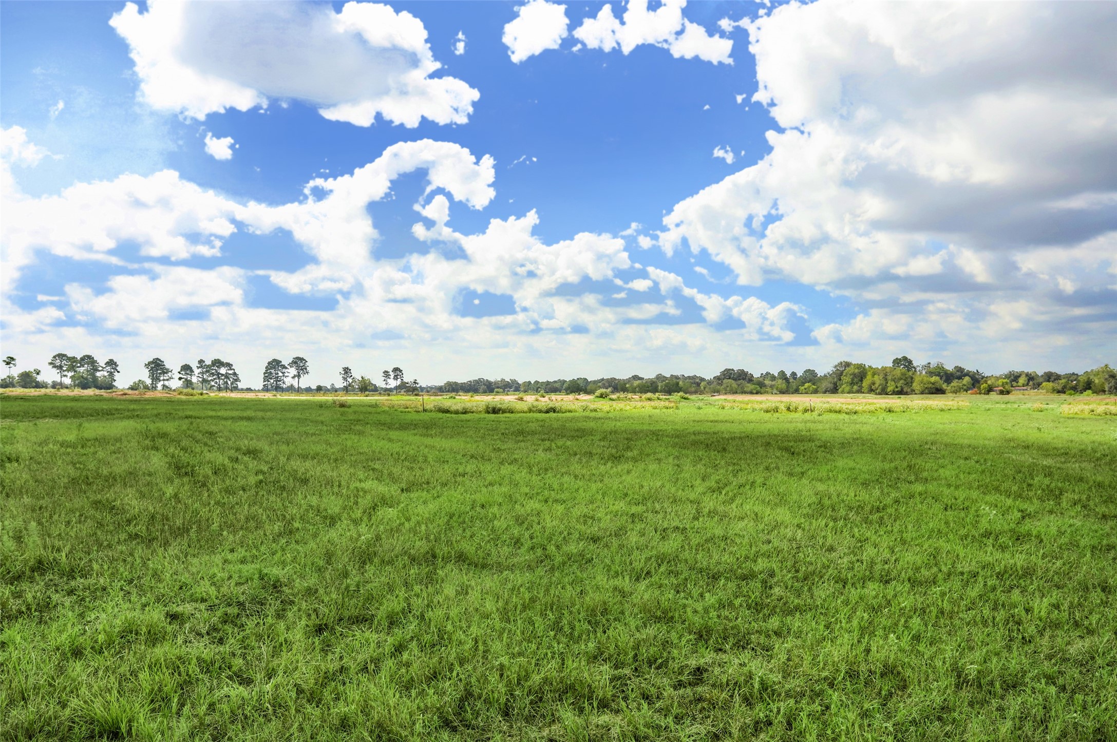 Lot 13 Acres Rolling Hill Drive Property Photo 5