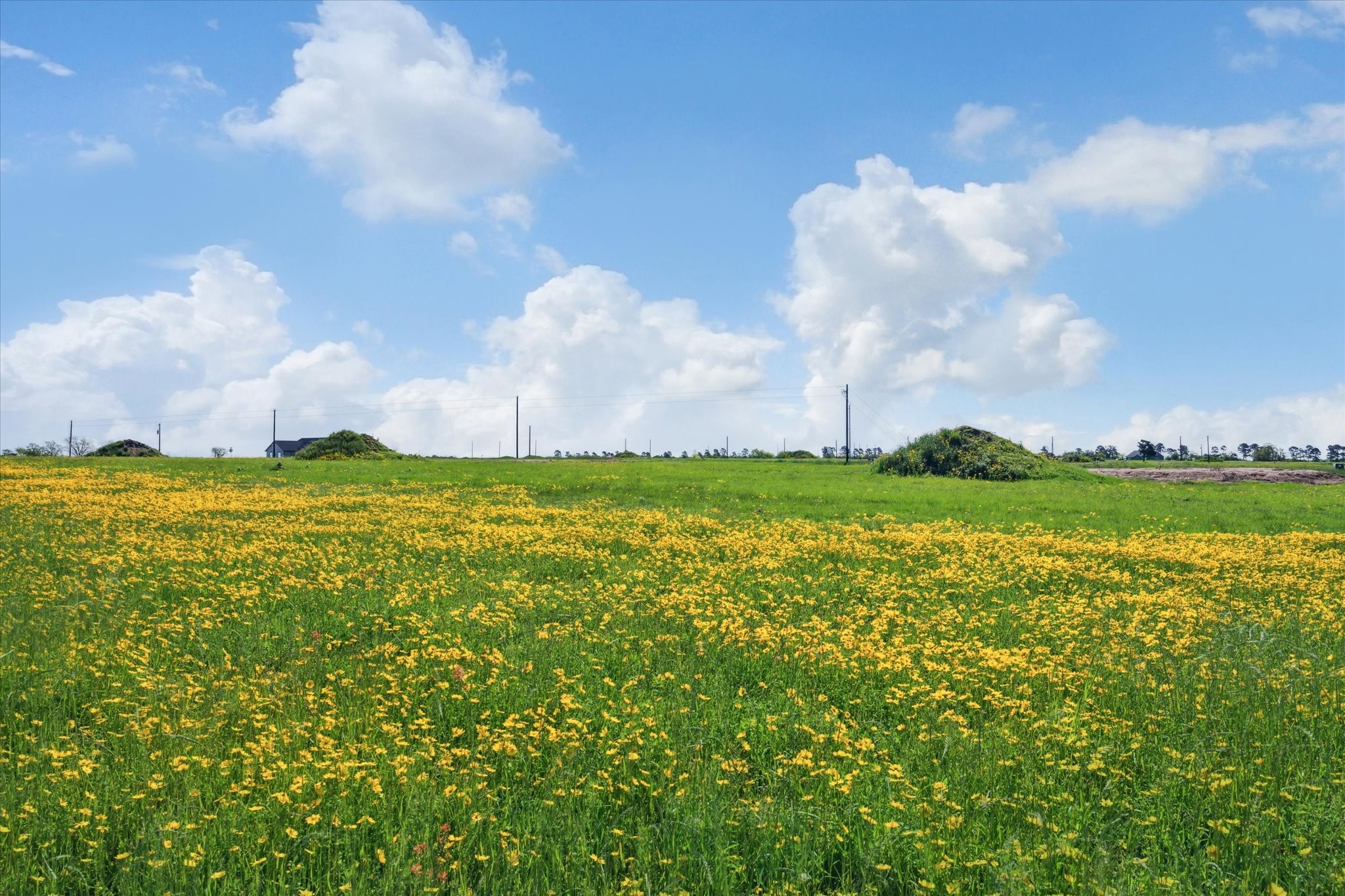 Lot 13 Acres Rolling Hill Drive Property Photo 8