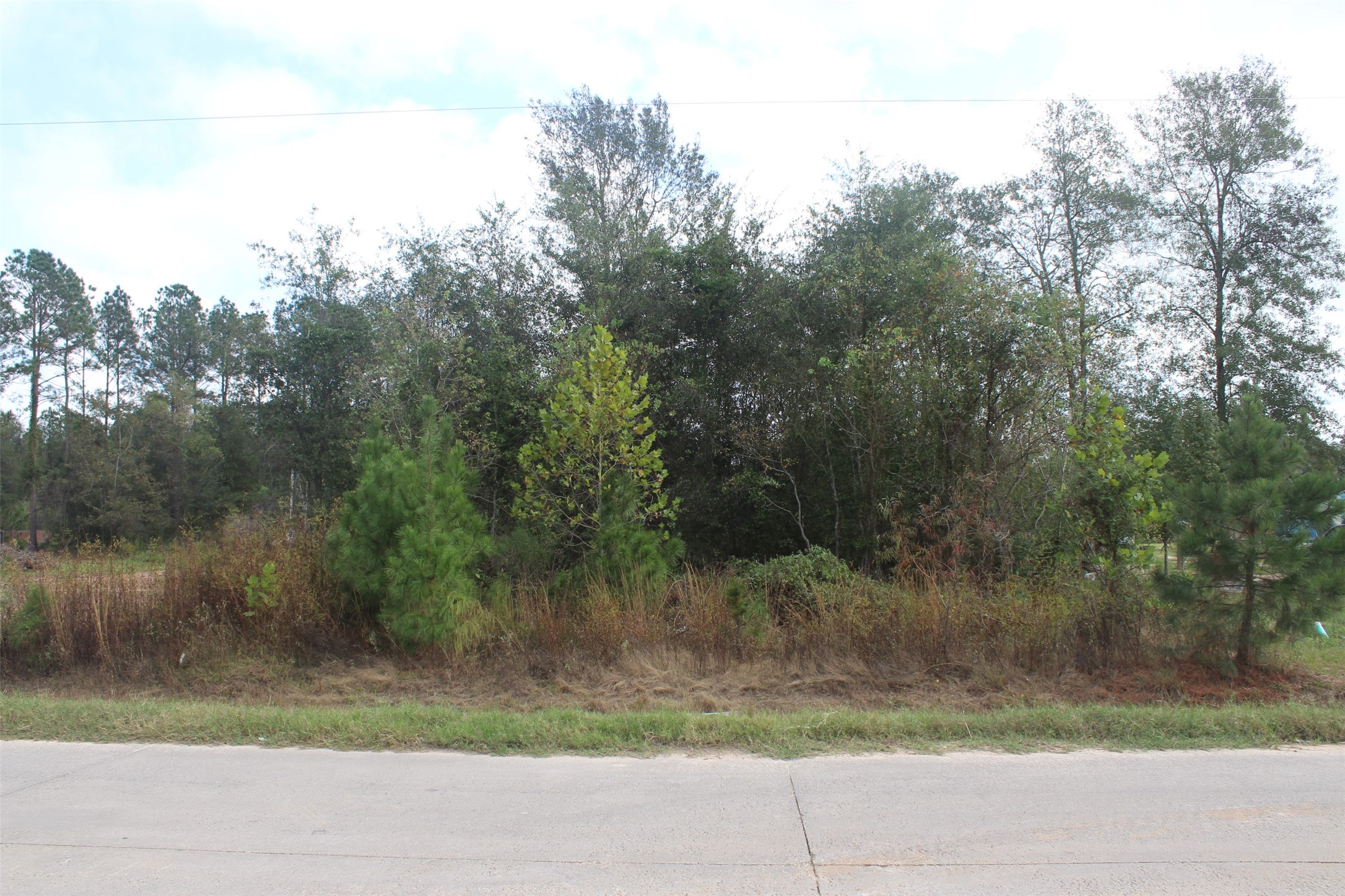 70 County Road 5008 Property Photo 6