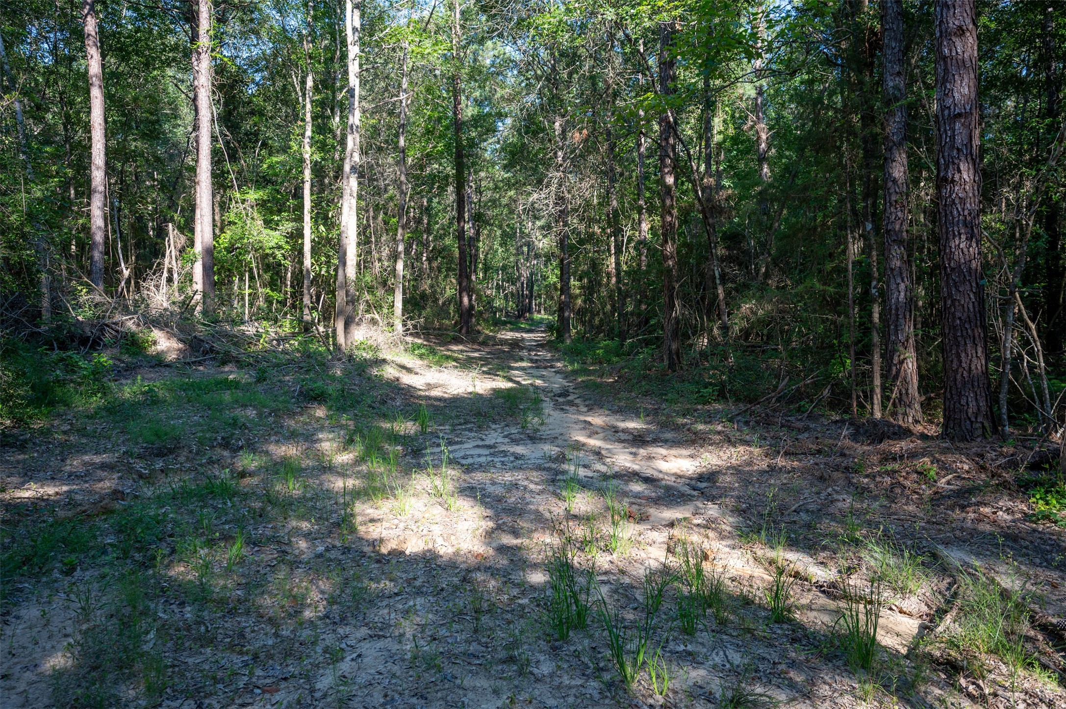 Tbd County Rd 3000 Property Photo