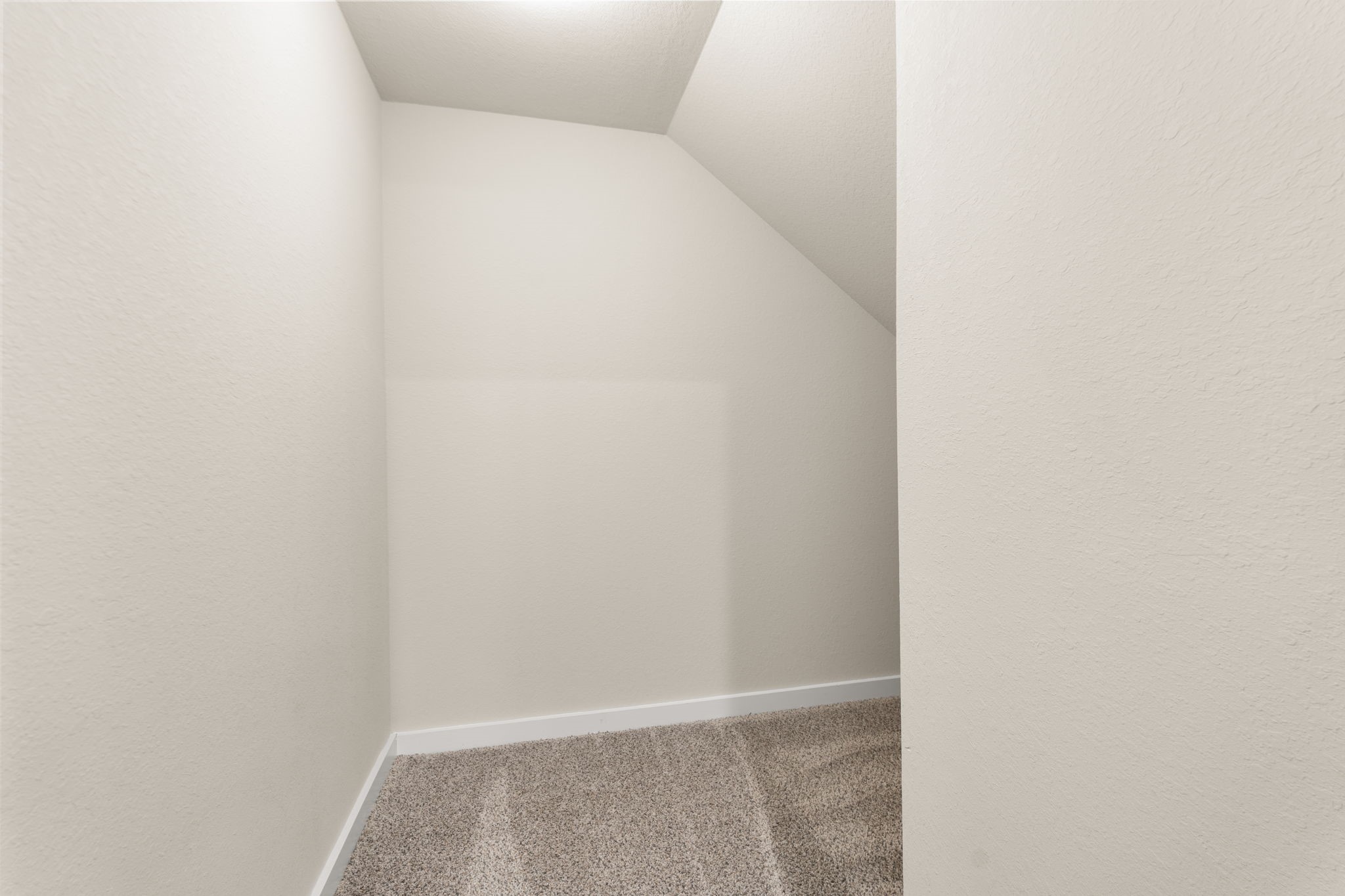 3431 Hackberry Tree Lane Property Photo 7