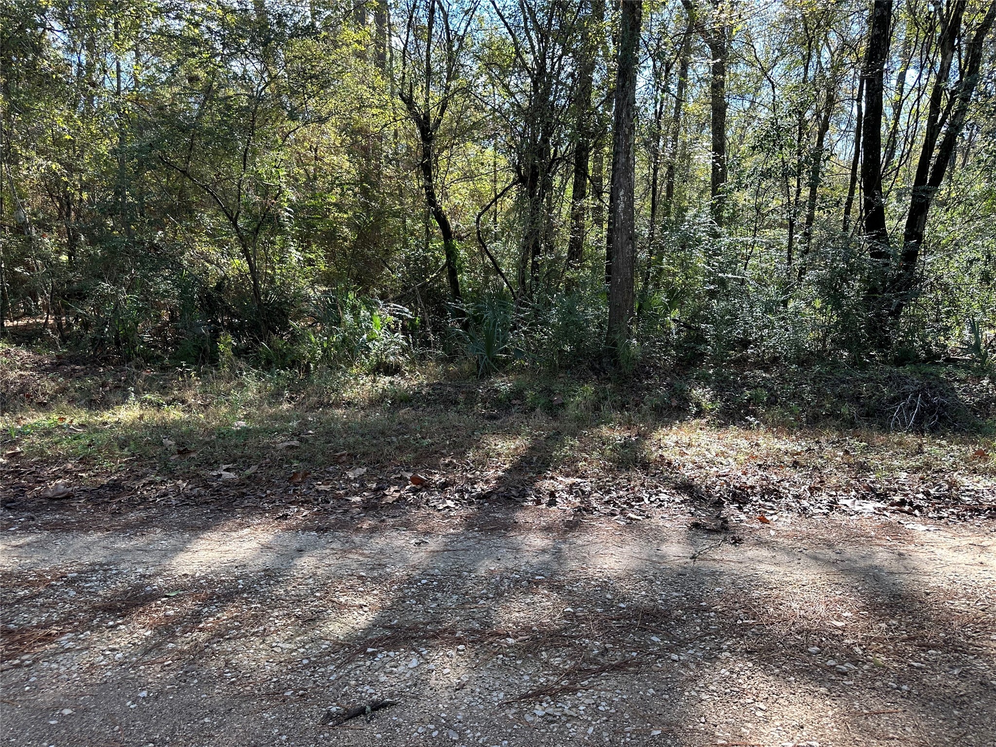 0 County Road 3612