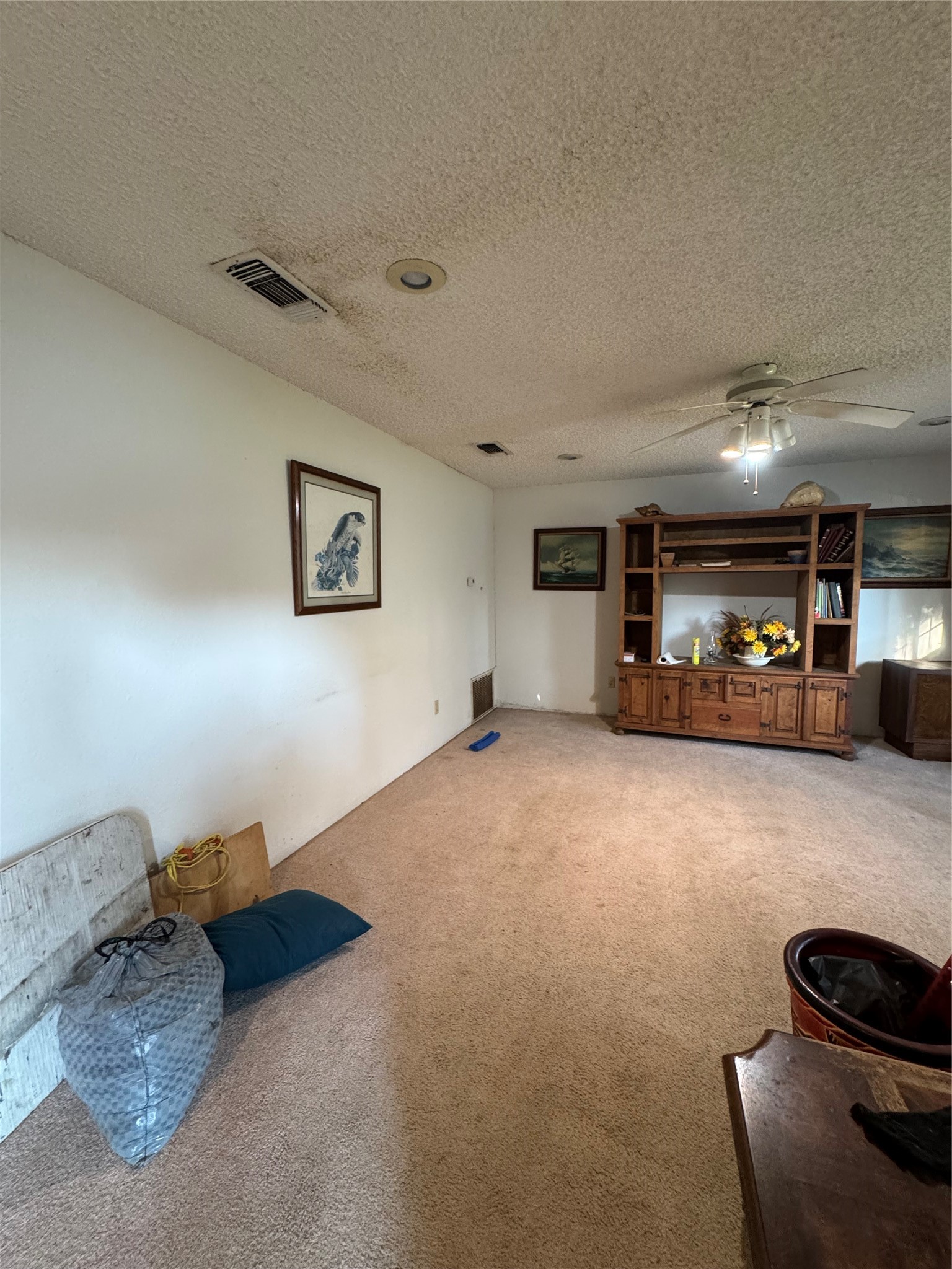 212 E Elizabeth Avenue Property Photo 4