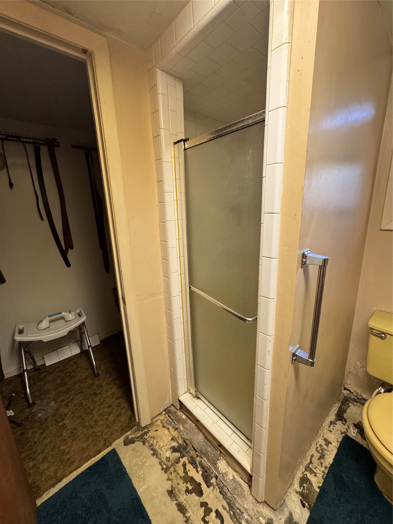 212 E Elizabeth Avenue Property Photo 27