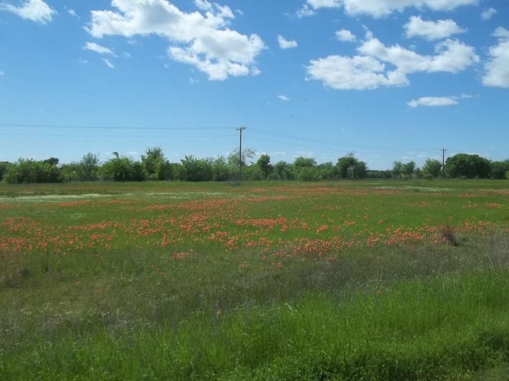 0 Lot 49 Fox Hollow Road Property Photo 1