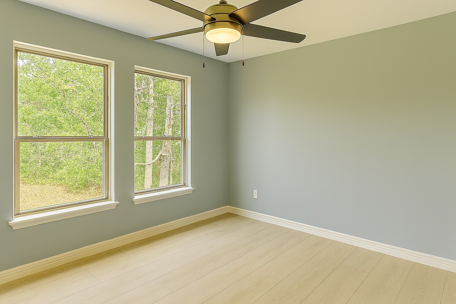 2 Mace Street Property Photo 12
