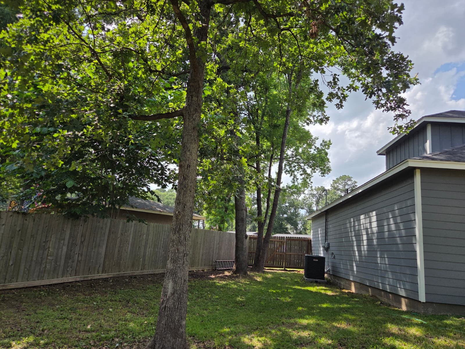 2 Mace Street Property Photo 23