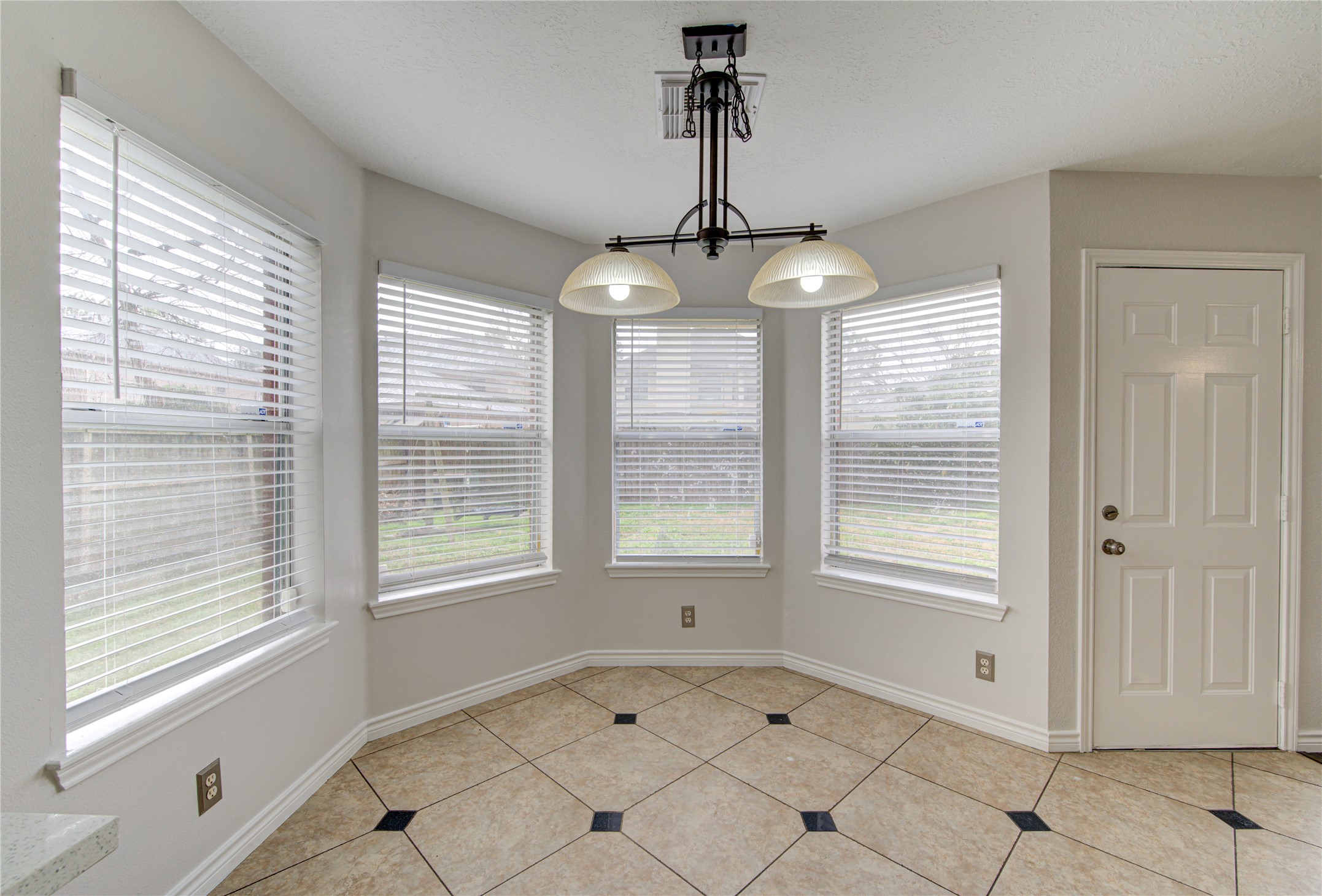 14123 Torrey Forest Drive Property Photo 16
