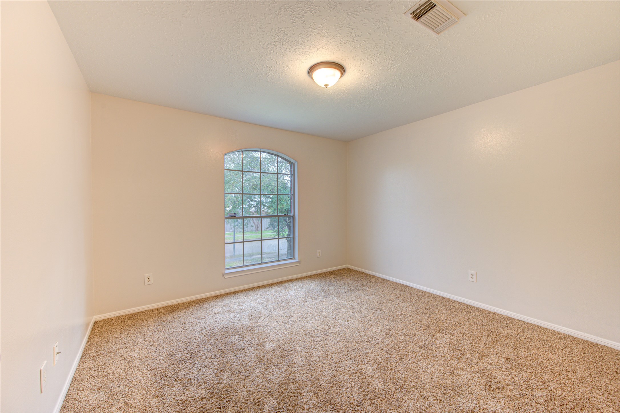 14123 Torrey Forest Drive Property Photo 35