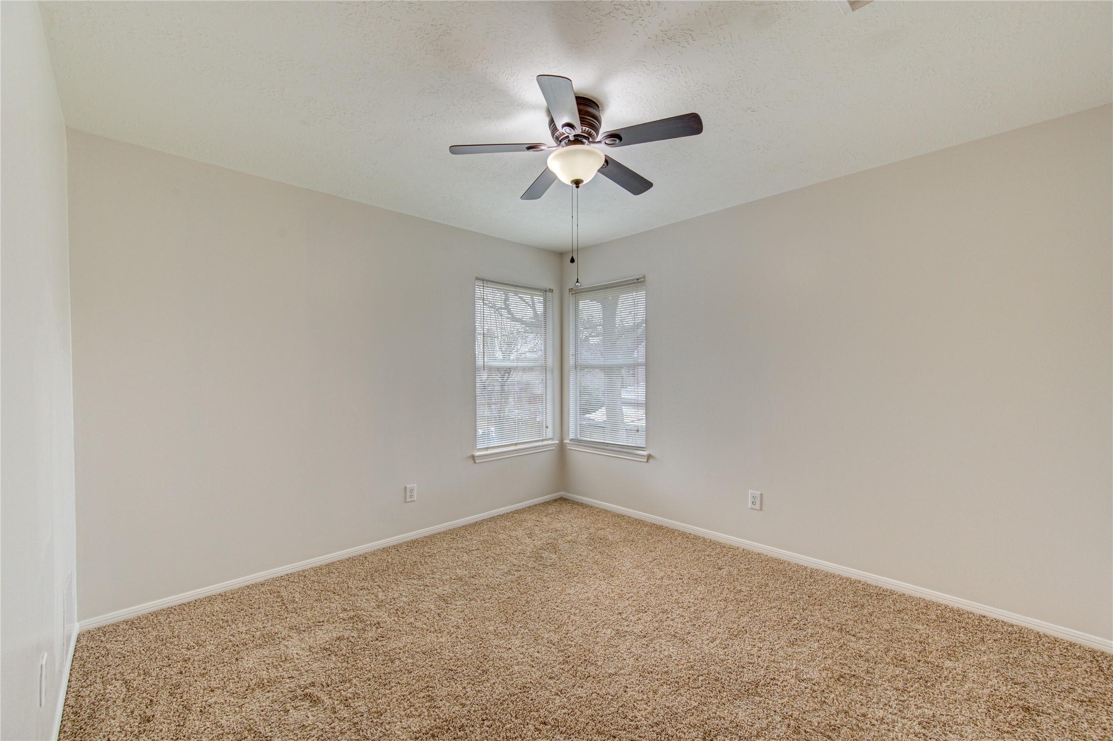 14123 Torrey Forest Drive Property Photo 37