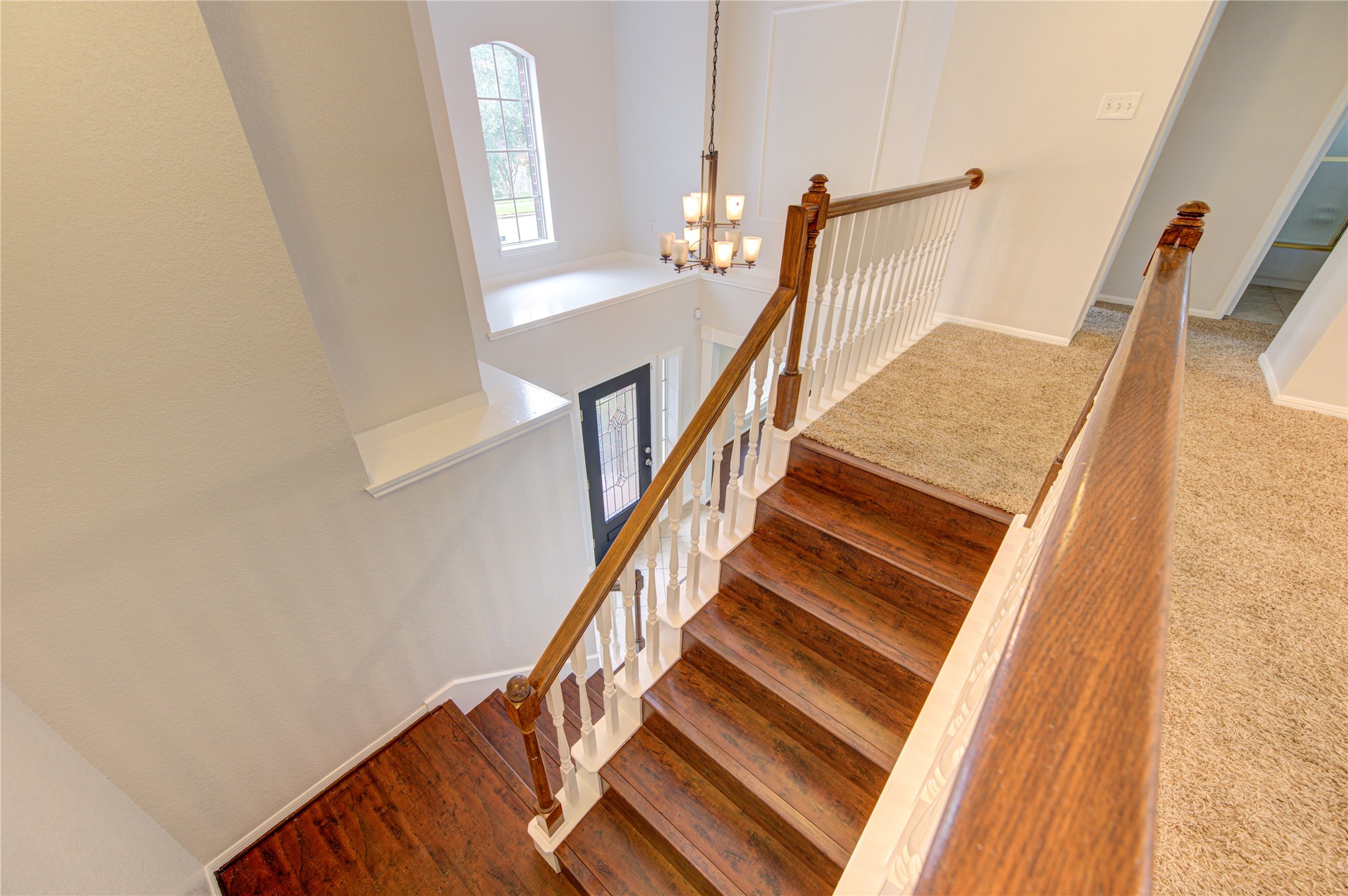 14123 Torrey Forest Drive Property Photo 46