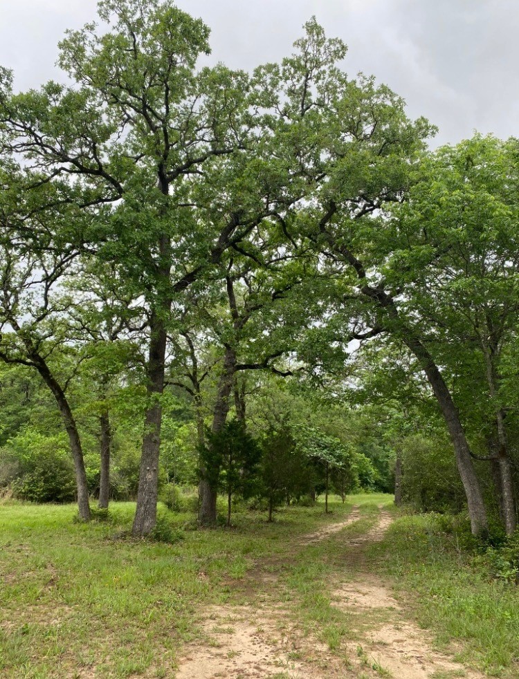 1803 Doe Run Drive Property Photo 1
