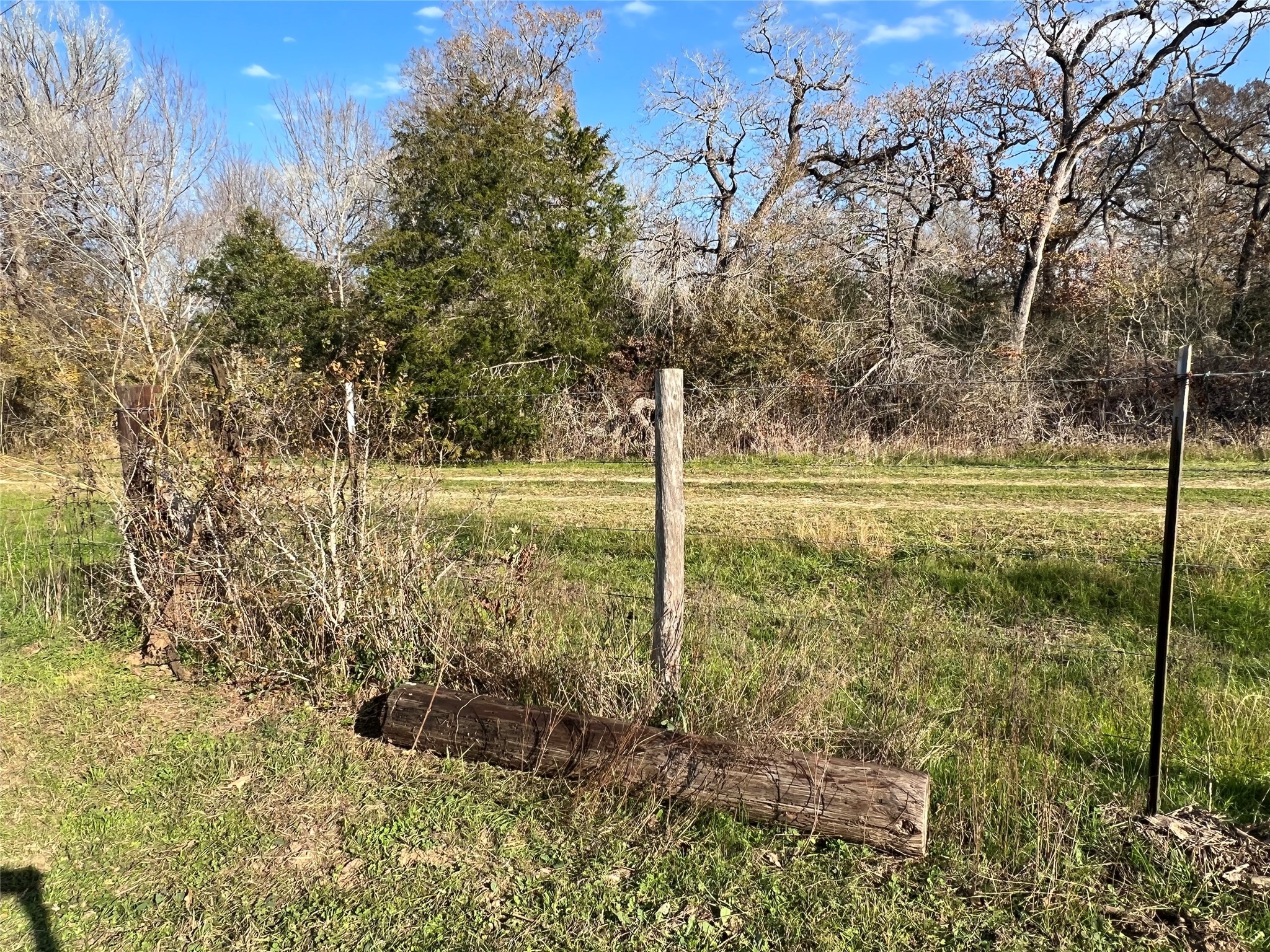 1803 Doe Run Drive Property Photo 4