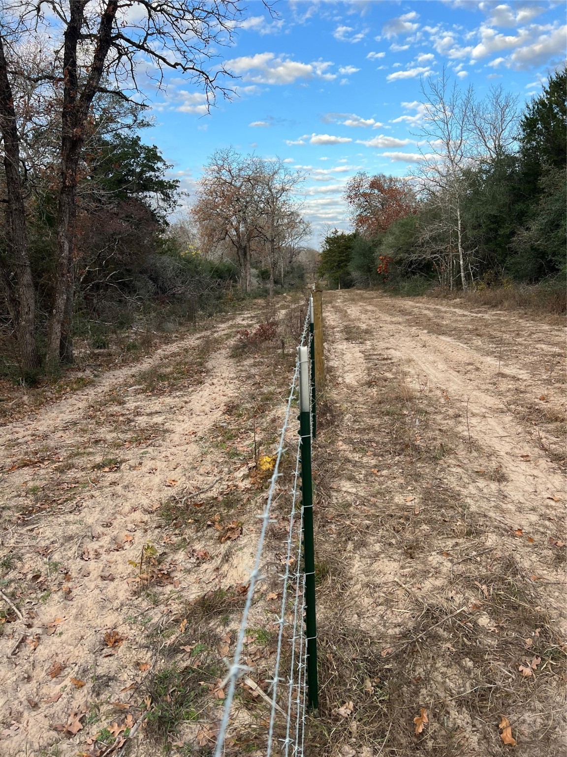 1803 Doe Run Drive Property Photo 5